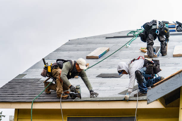 Professional Emergency Roof Repair technician working in New Bedford, IL